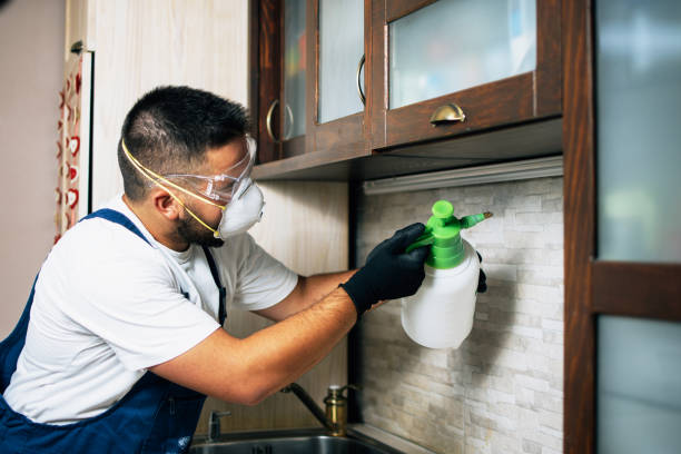 Best Ant Control Services  in Lincoln Heights, OH