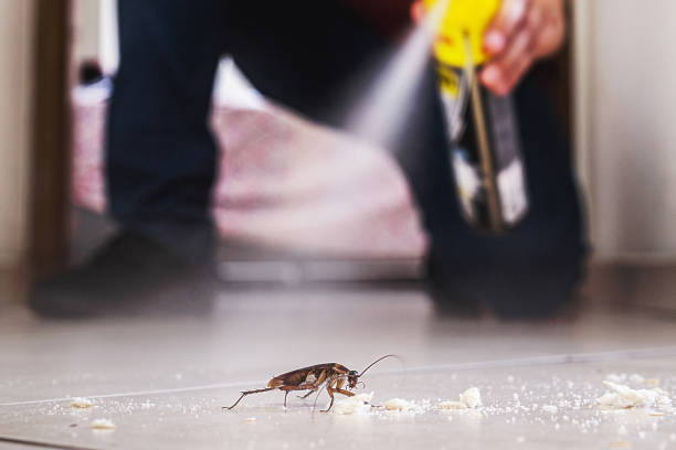 Best Termite Control Services  in Lincoln Heights, OH