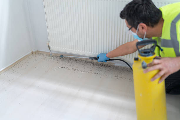 Best Pest Removal Services  in Lincoln Heights, OH